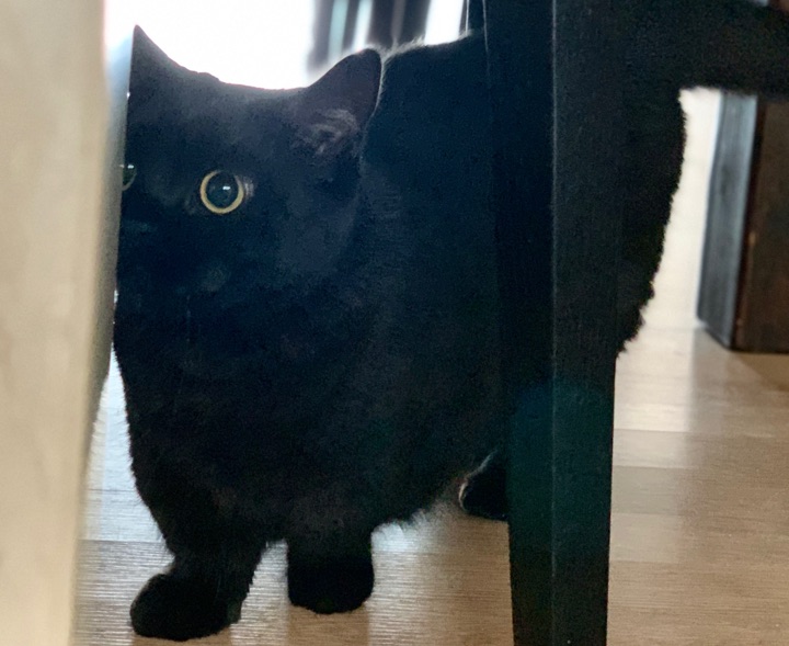 레옹이의 프로필 사진