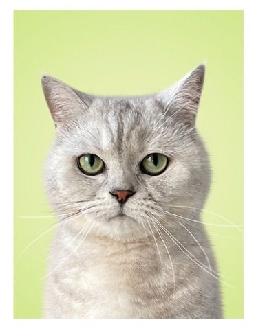 달래의 프로필 사진