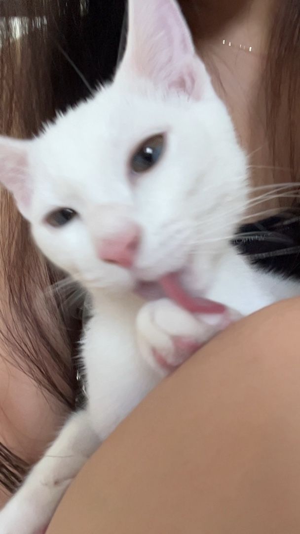 테미의 프로필 사진