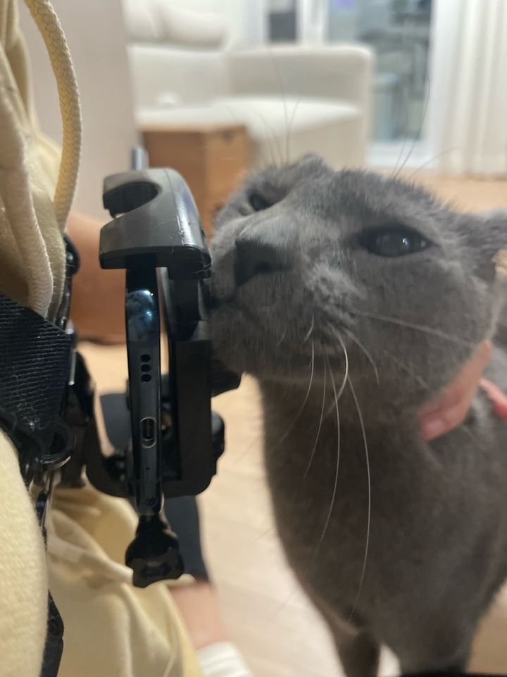 인천 미추홀구 (춘) 님의 펫시팅 돌봄 후기 사진