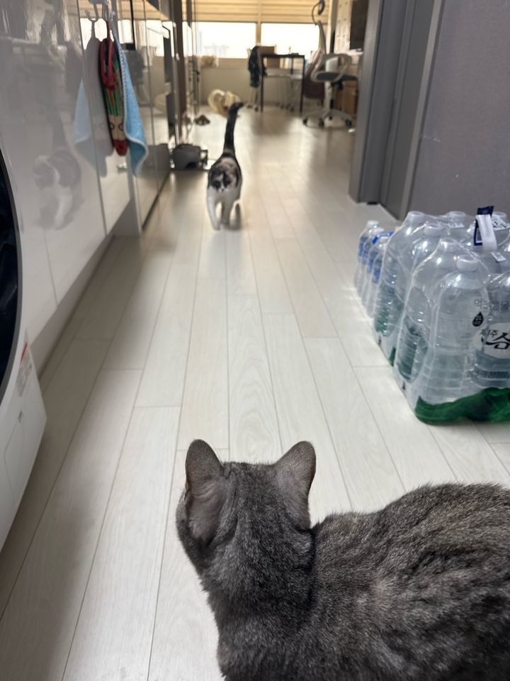 경기 수원시 (병구)님의 돌봄 후기 첨부 사진