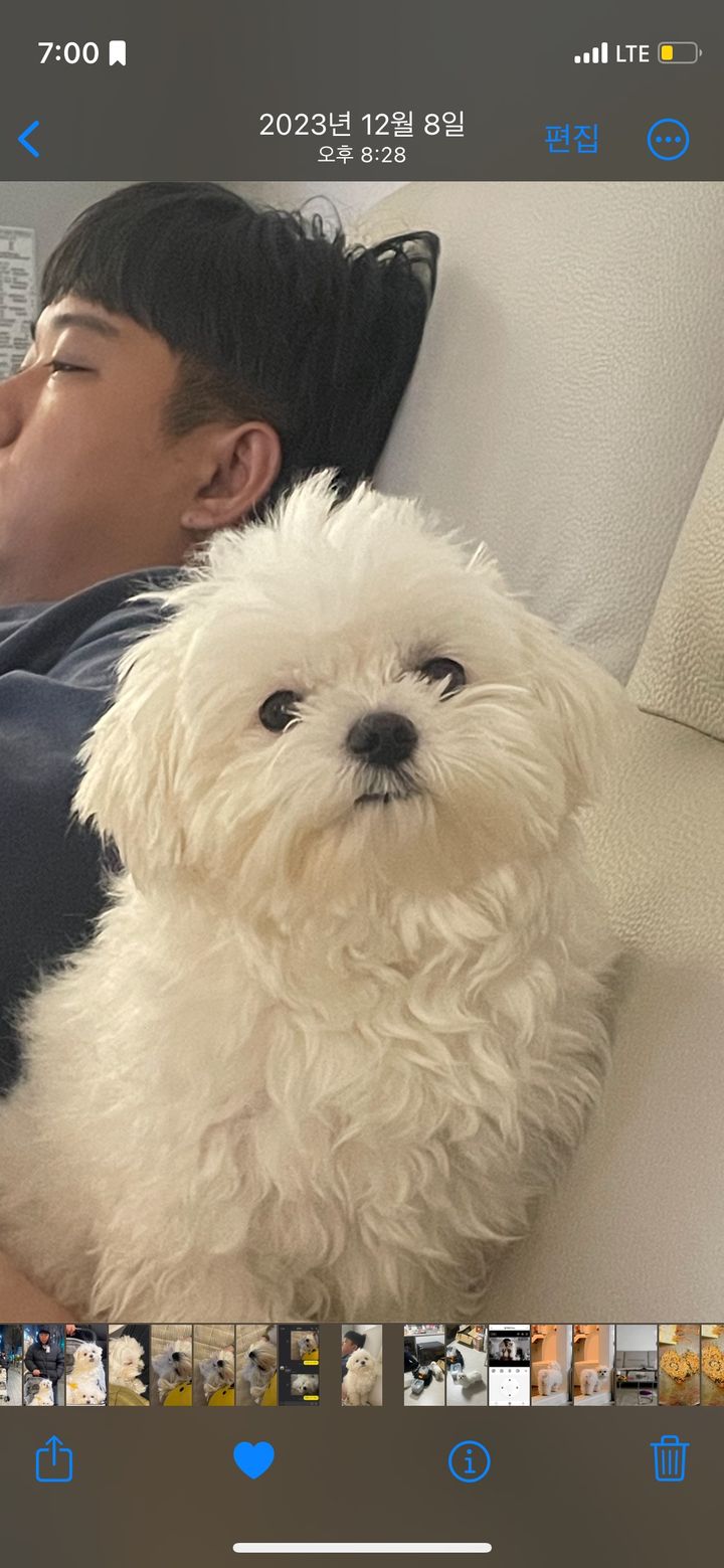 경기 부천시 (오동이) 펫시터 고객 후기