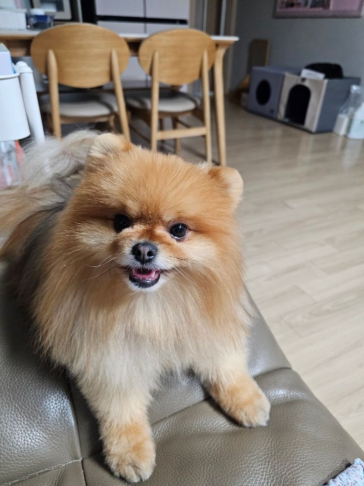 토리의 프로필 사진