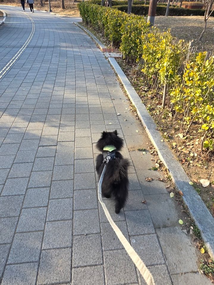 웅이의 프로필 사진