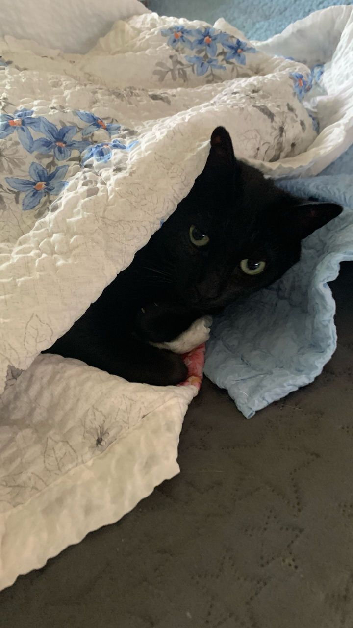 티의 프로필 사진