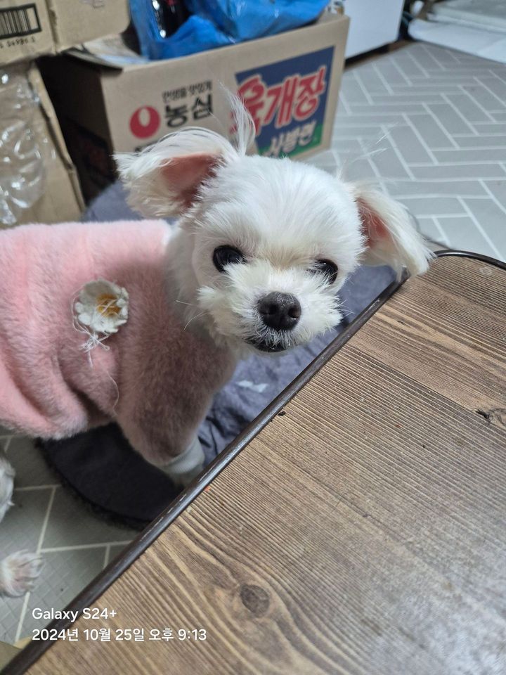 고객 리뷰
