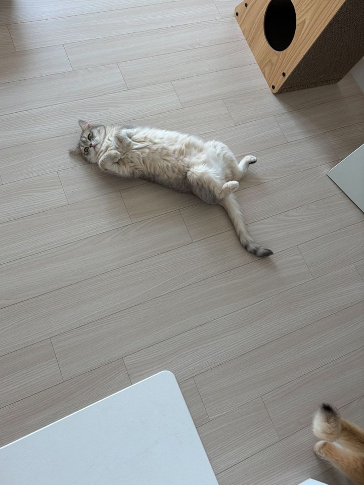 그림의 프로필 사진