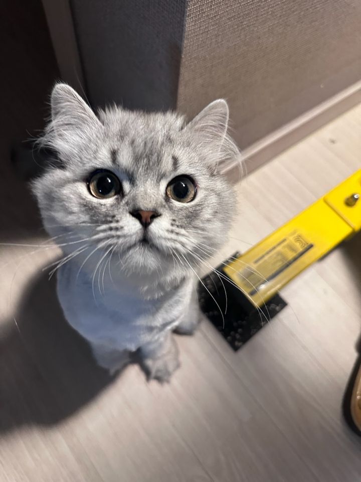 은동이의 프로필 사진
