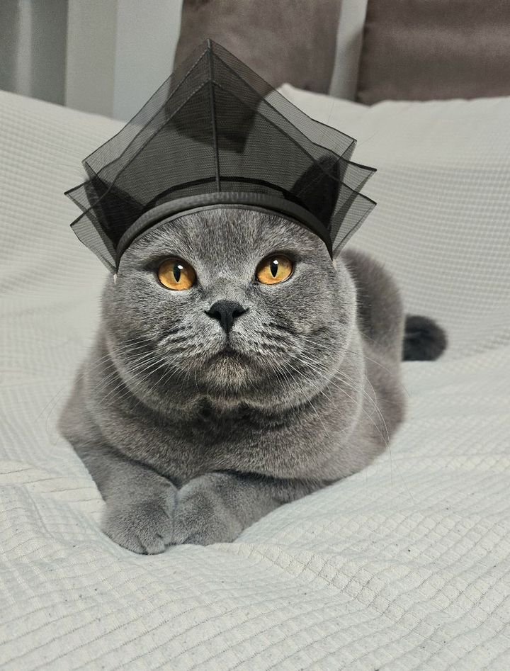 욘두의 프로필 사진