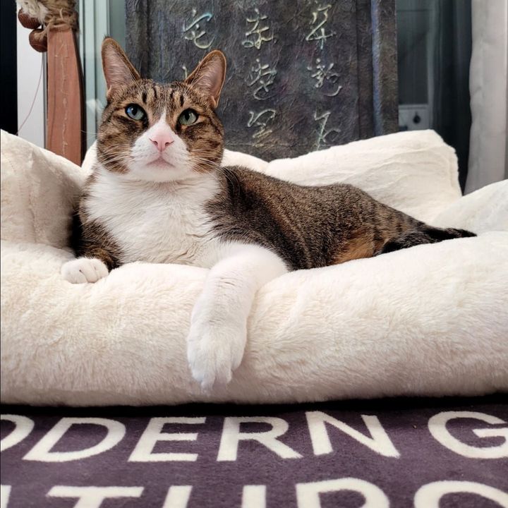 카이의 프로필 사진